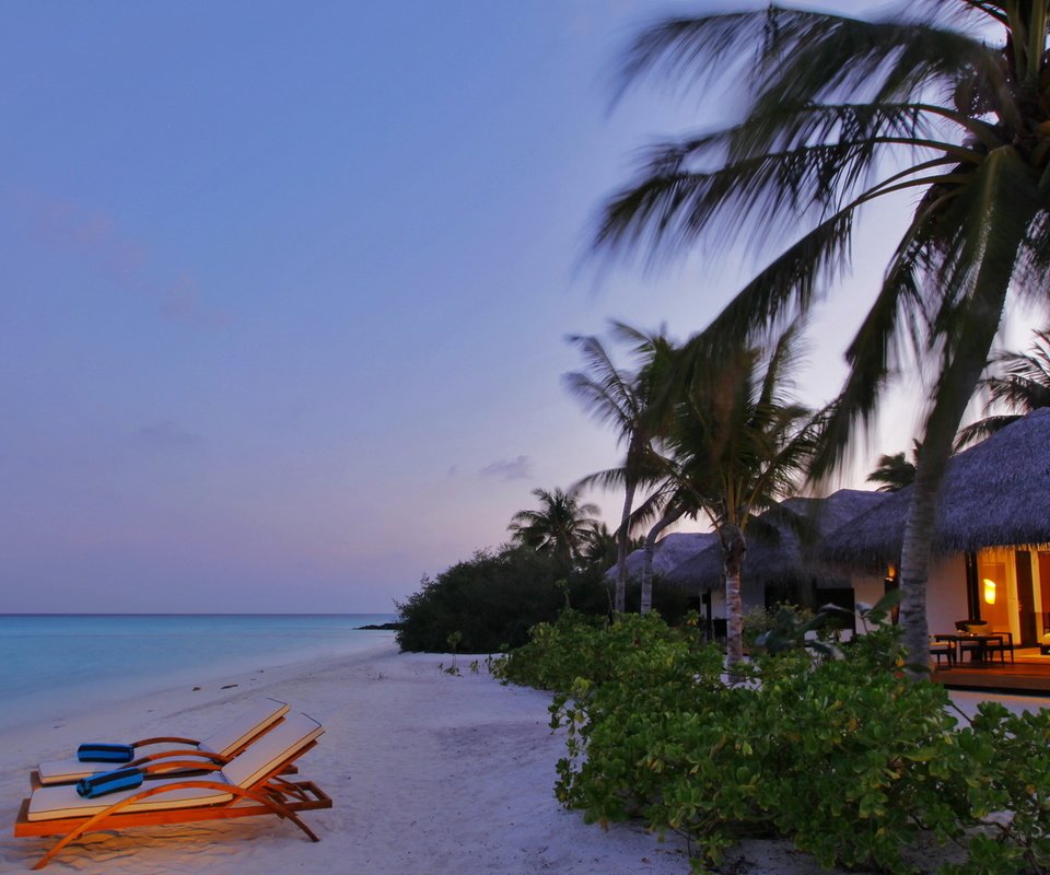 Обои вечер, песок, пляж, пальмы, бунгало, тропики, мальдивы, the evening, sand, beach, palm trees, bungalow, tropics, the maldives разрешение 1920x1080 Загрузить