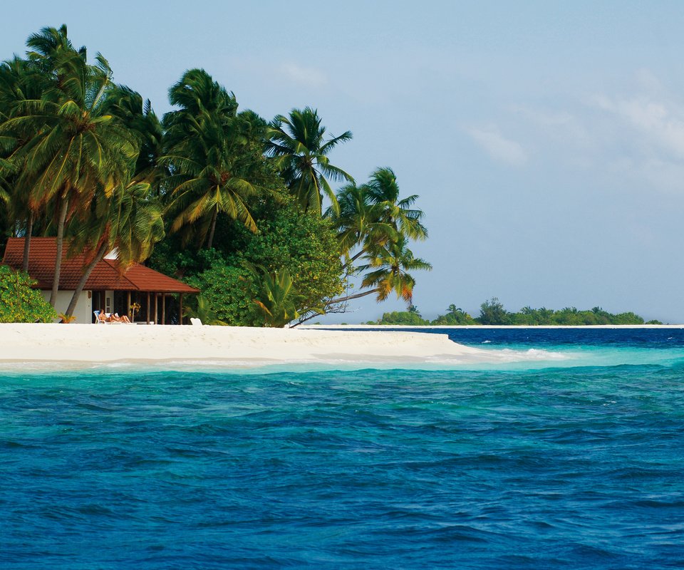 Обои пляж, пальмы, остров, тропики, мальдивы, beach, palm trees, island, tropics, the maldives разрешение 4257x2802 Загрузить