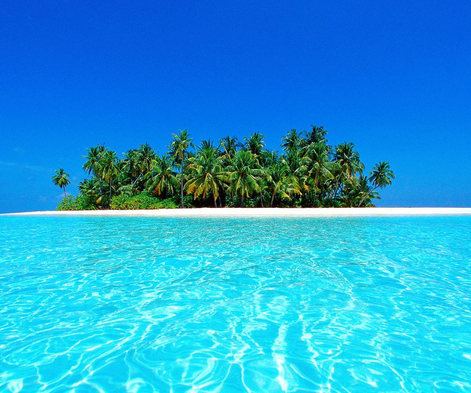 Обои пляж, пейзажи, пальмы, остров, тропики, багамы, мальдивы, beach, landscapes, palm trees, island, tropics, bahamas, the maldives разрешение 1920x1080 Загрузить
