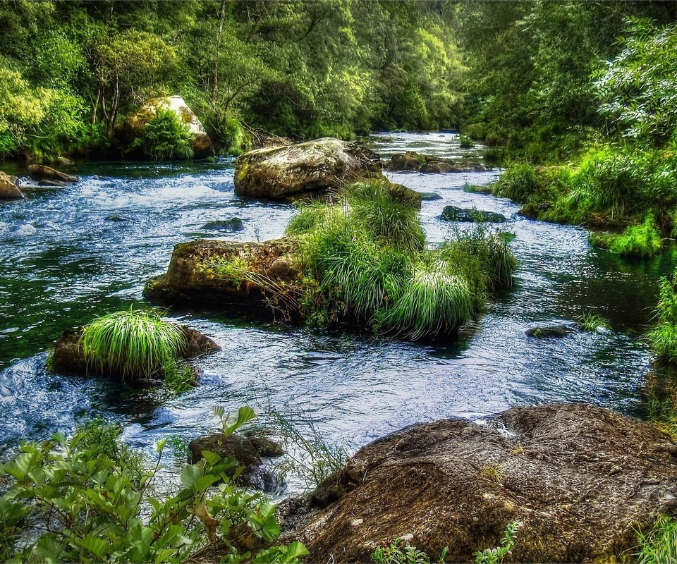 Обои трава, река, камни, лес, пейзаж, поток, grass, river, stones, forest, landscape, stream разрешение 2560x1600 Загрузить