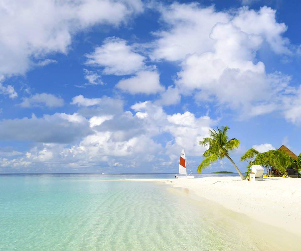 Обои пляж, пальмы, тропики, beach, palm trees, tropics разрешение 2000x1331 Загрузить