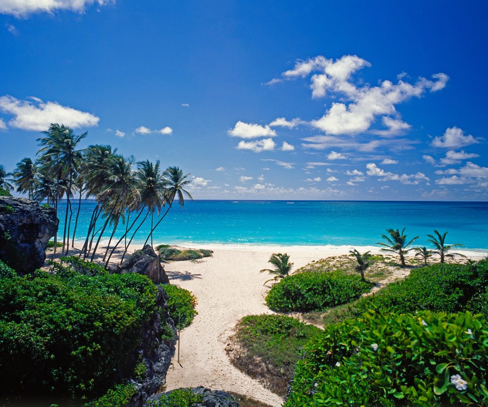 Обои пляж, пальмы, тропики, beach, palm trees, tropics разрешение 2508x1908 Загрузить