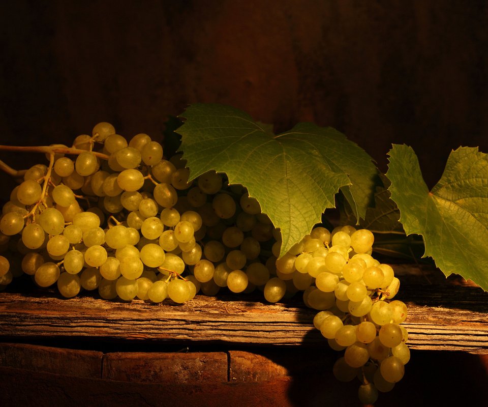 Обои листья, зелёный, виноград, стол, тень, ягоды, гроздь, leaves, green, grapes, table, shadow, berries, bunch разрешение 2560x1600 Загрузить