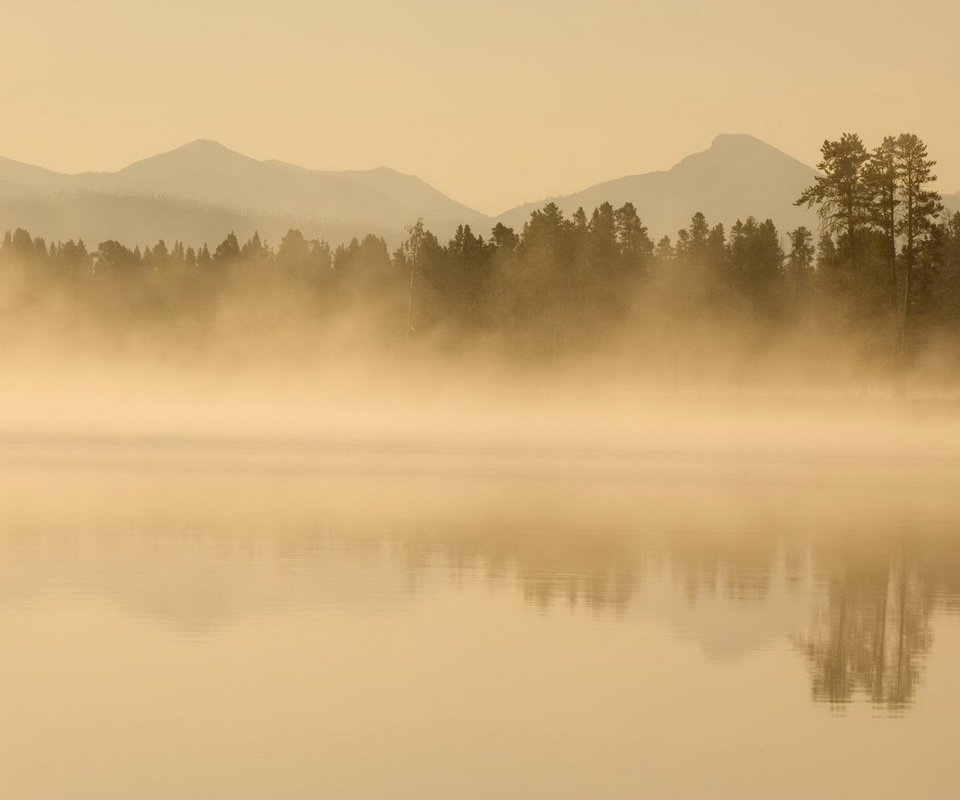 Обои деревья, вода, горы, природа, отражение, туман, trees, water, mountains, nature, reflection, fog разрешение 1920x1200 Загрузить