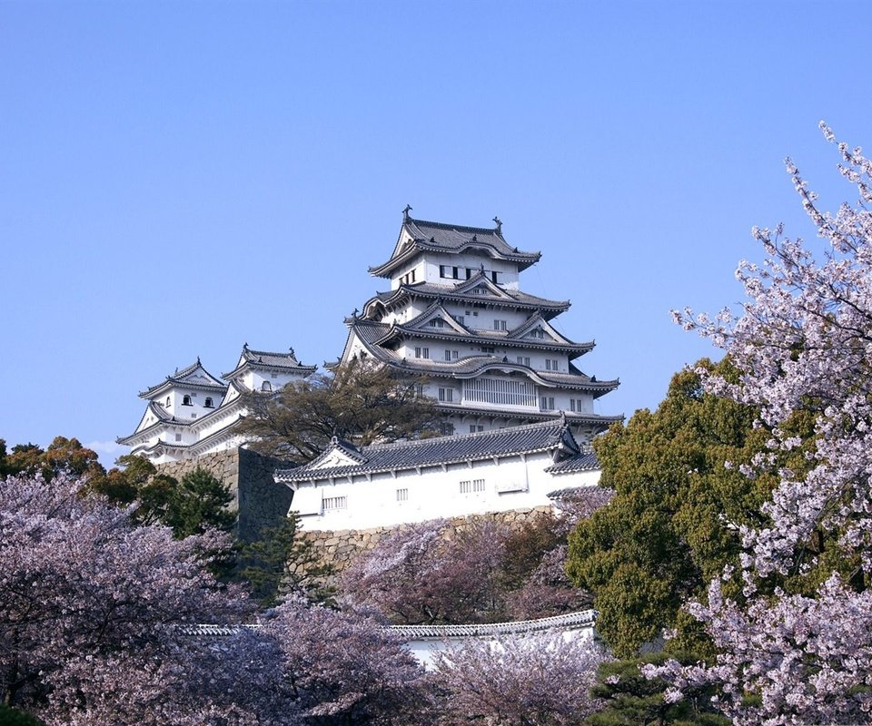 Обои замок, япония, сакура, castle, japan, sakura разрешение 1920x1200 Загрузить