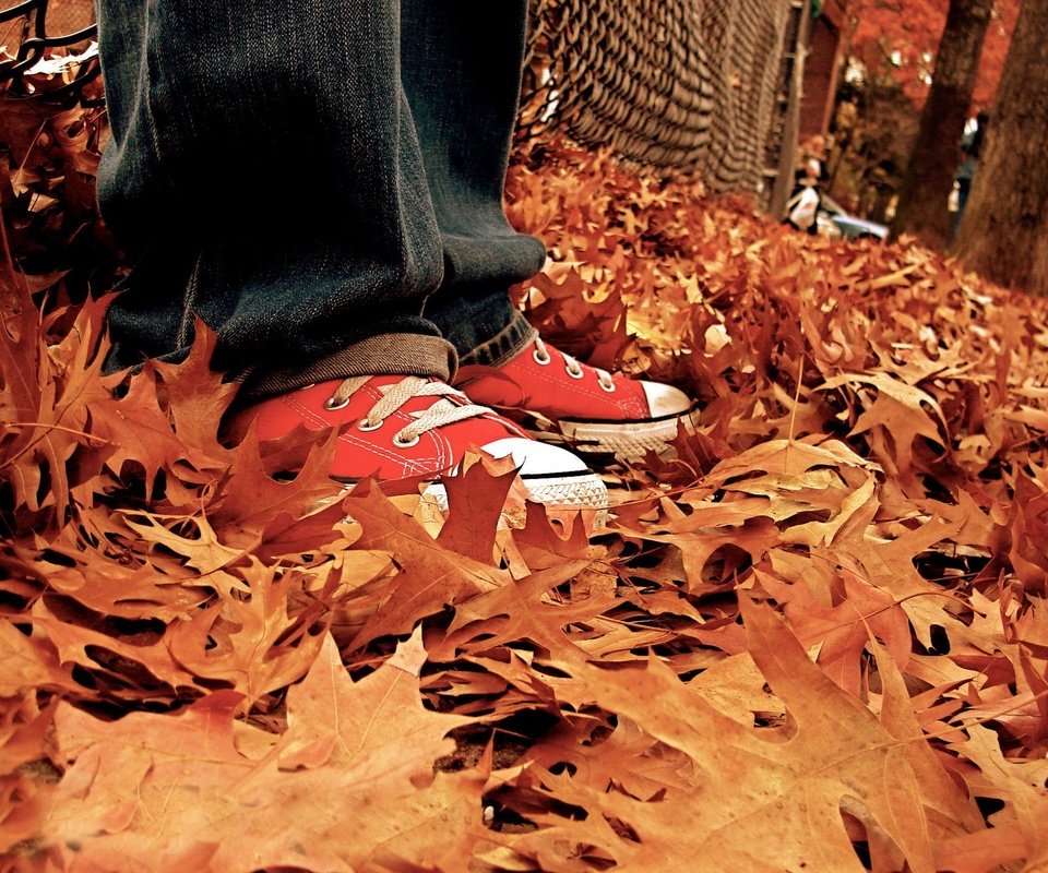 Обои листья, осень, кеды, джинсы, ноги, listya, osen, kedy, осенние листья, leaves, autumn, sneakers, jeans, feet, autumn leaves разрешение 1920x1440 Загрузить