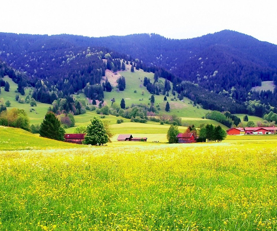 Обои горы, поле, mountains, field разрешение 1920x1200 Загрузить