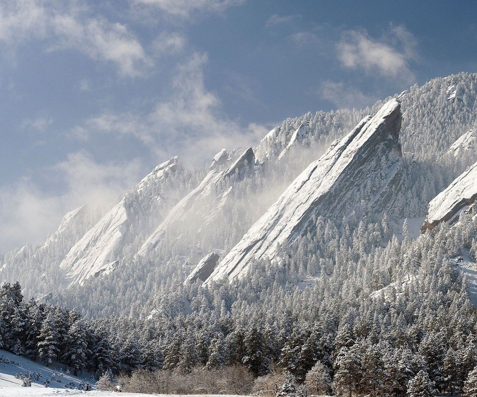 Обои деревья, горы, снег, зима, trees, mountains, snow, winter разрешение 1920x1080 Загрузить