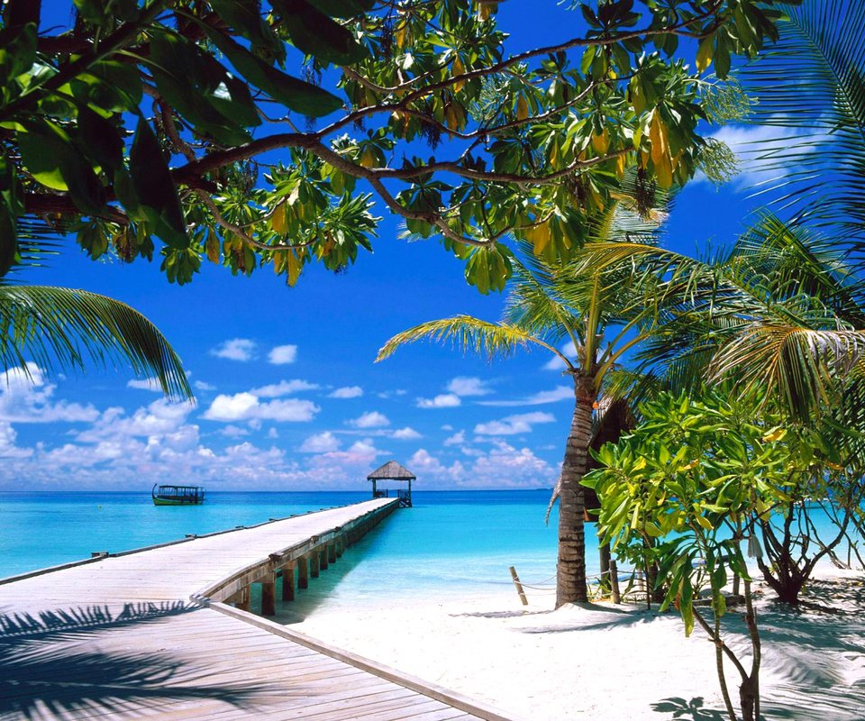 Обои пляж, тропики, мальдивы, beach, tropics, the maldives разрешение 2560x1920 Загрузить