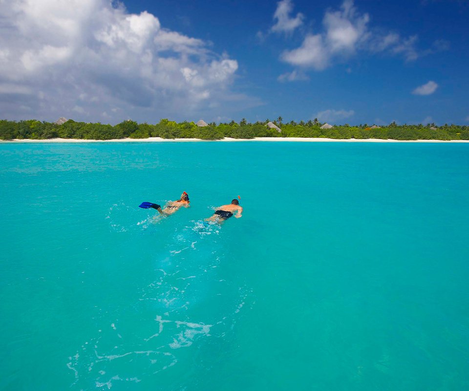 Обои пляж, остров, тропики, мальдивы, beach, island, tropics, the maldives разрешение 2464x1612 Загрузить