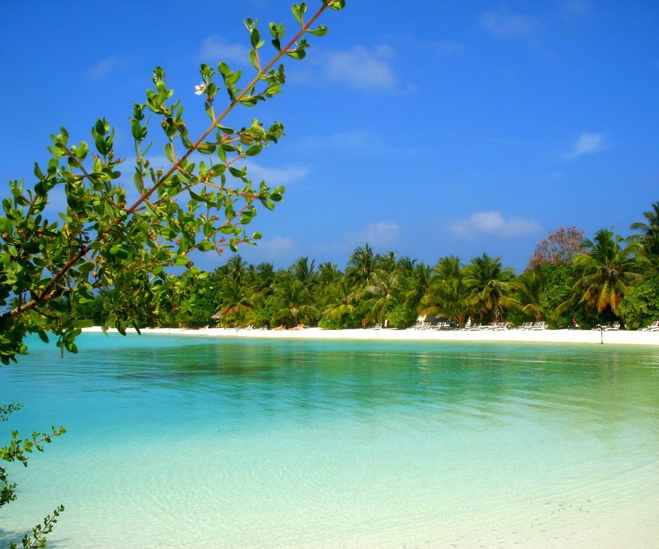 Обои пляж, остров, тропики, мальдивы, beach, island, tropics, the maldives разрешение 2400x1800 Загрузить