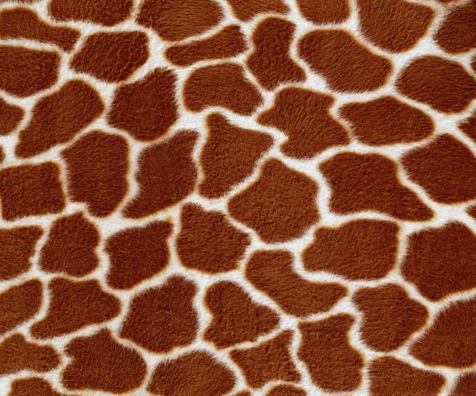 Обои текстура, фон, жираф, мех, texture, background, giraffe, fur разрешение 2560x1600 Загрузить
