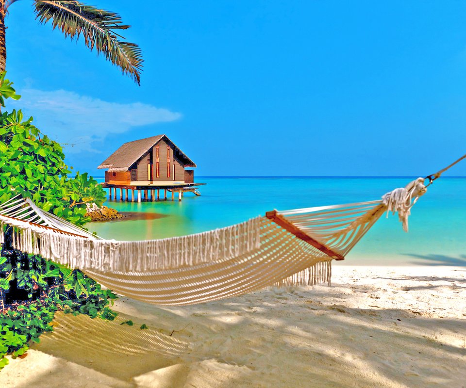 Обои море, пляж, гамак, тропики, sea, beach, hammock, tropics разрешение 2536x1615 Загрузить