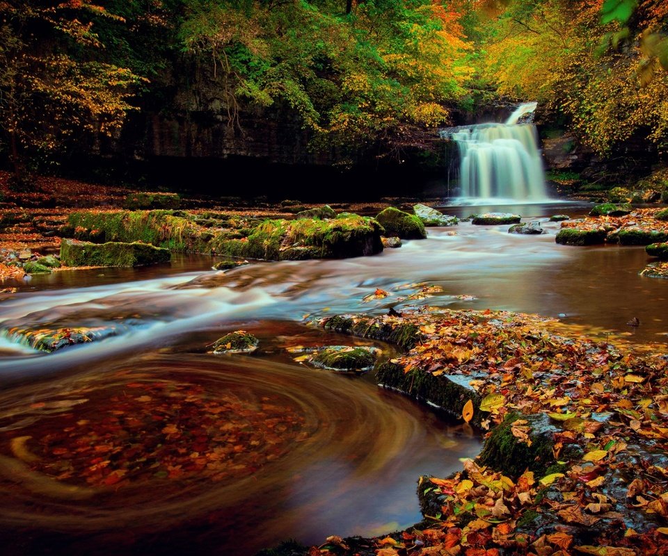 Обои природа, лес, водопад, осень, англия, йоркшир, nature, forest, waterfall, autumn, england, yorkshire разрешение 1920x1200 Загрузить