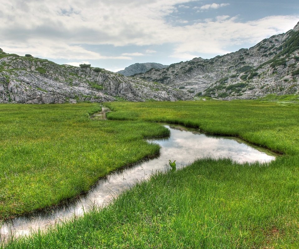 Обои трава, горы, природа, ручей, пейзаж., grass, mountains, nature, stream, landscape. разрешение 2560x1600 Загрузить