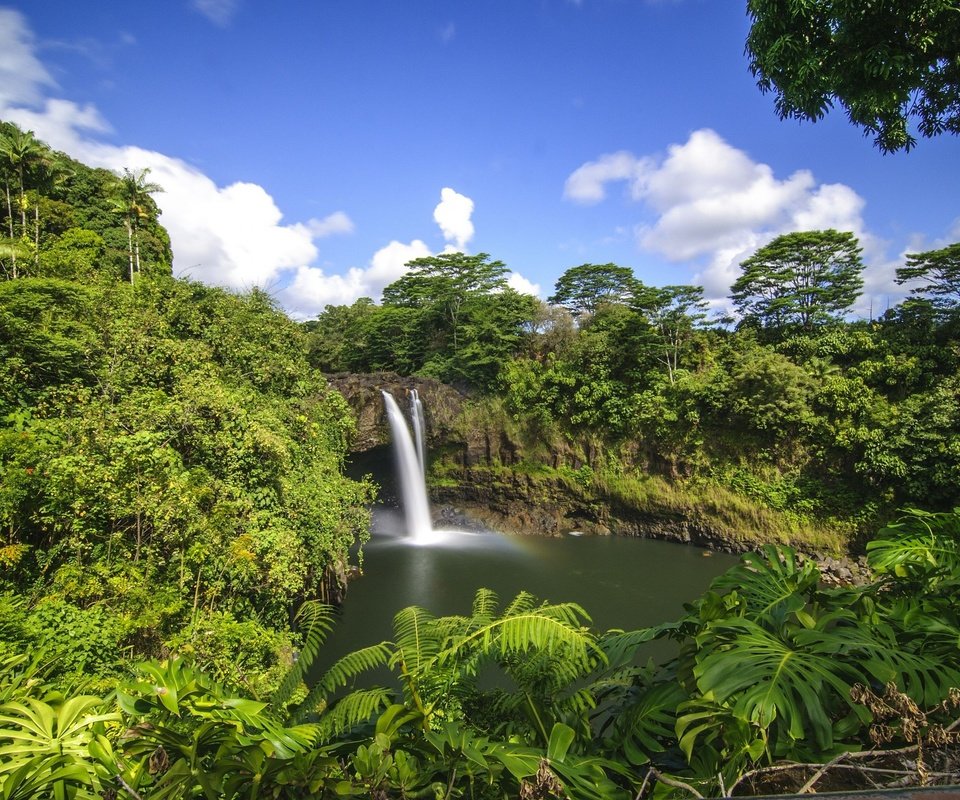Обои деревья, лес, водопад, тропики, гавайи, trees, forest, waterfall, tropics, hawaii разрешение 2800x1860 Загрузить