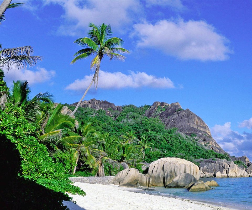Обои море, пляж, отдых, остров, тропики, сейшелы, sea, beach, stay, island, tropics, seychelles разрешение 1920x1440 Загрузить