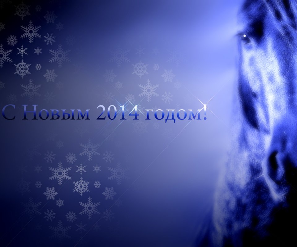 Обои лошадь, новый год, 2014 год, horse, new year, 2014 разрешение 1920x1200 Загрузить