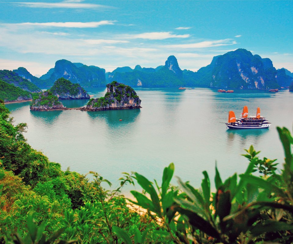 Обои море, тропики, вьетнам, халонг, sea, tropics, vietnam, halong разрешение 2497x1992 Загрузить