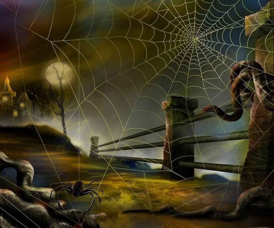 Обои паук и паутина, spider and web разрешение 2560x1440 Загрузить