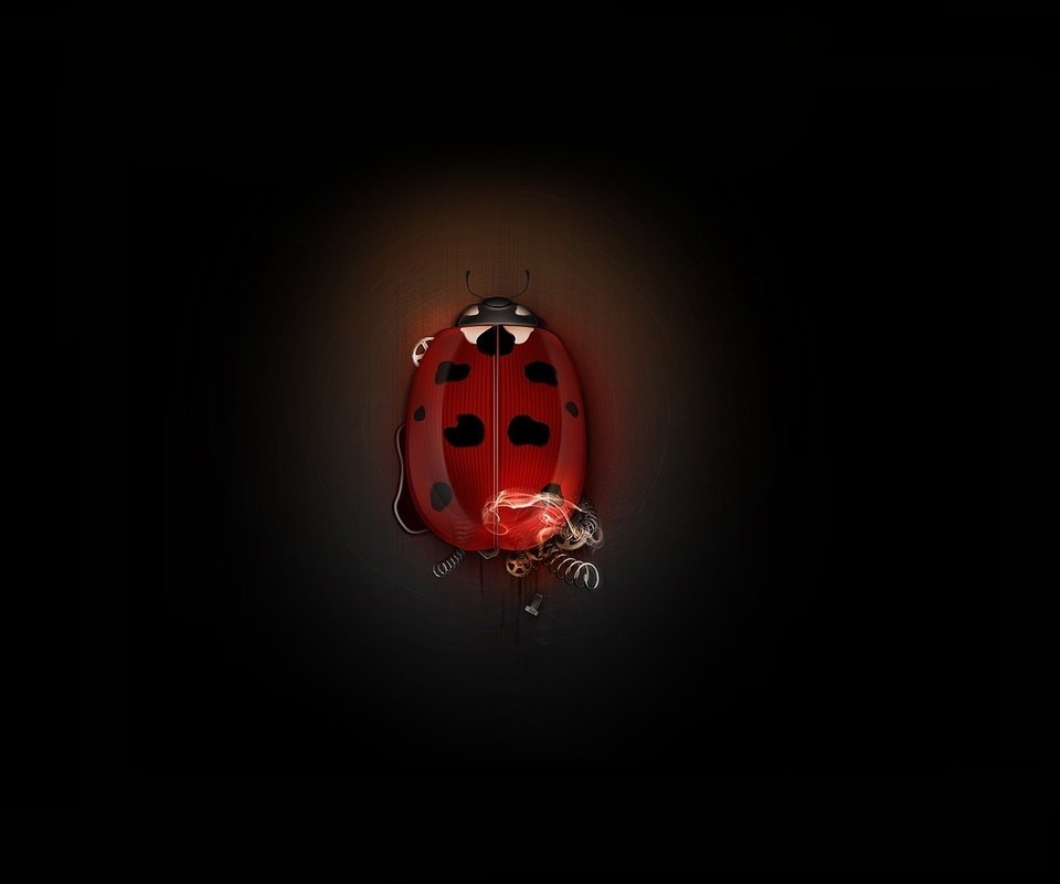 Обои жук, божья коровка, минимализм, механизм, шестеренки, beetle, ladybug, minimalism, mechanism, gear разрешение 1920x1080 Загрузить