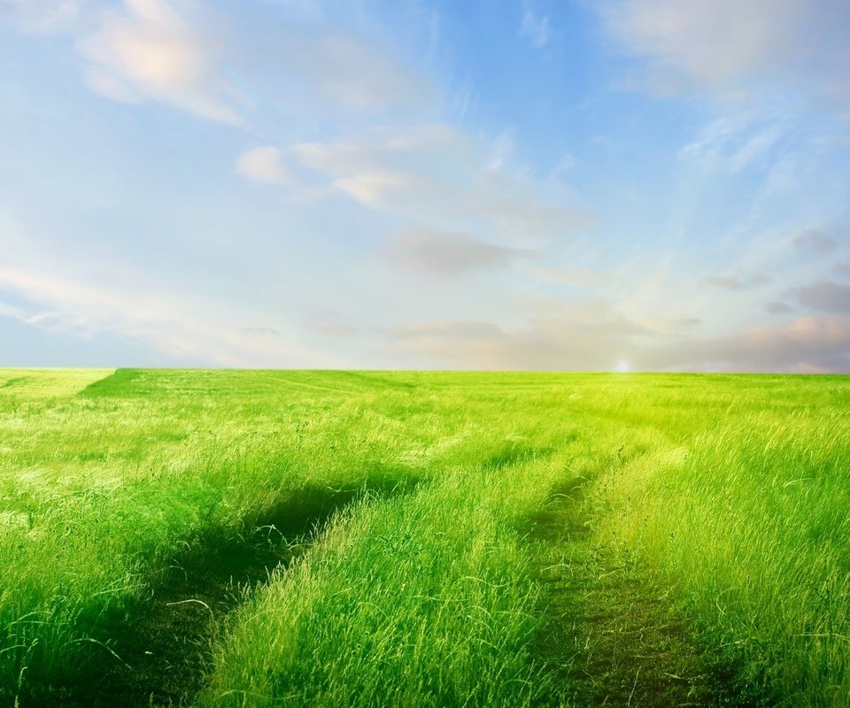 Обои небо, дорога, трава, облака, зелень, поле, горизонт, the sky, road, grass, clouds, greens, field, horizon разрешение 1920x1080 Загрузить