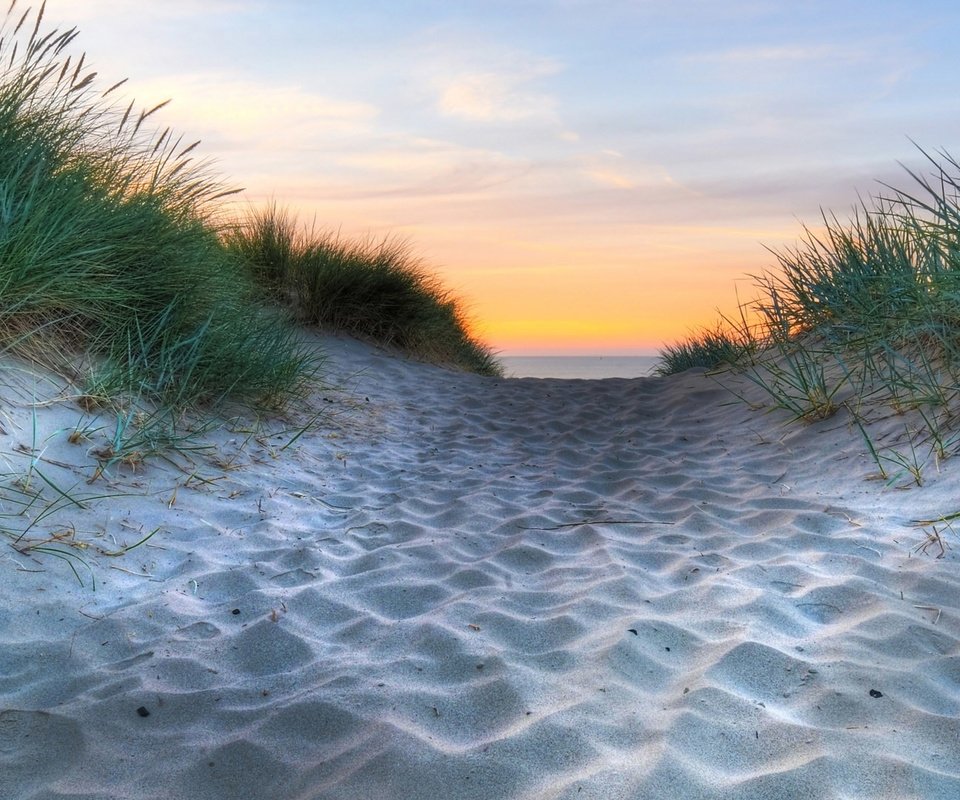 Обои трава, природа, берег, песок, пляж, побережье, grass, nature, shore, sand, beach, coast разрешение 1920x1080 Загрузить