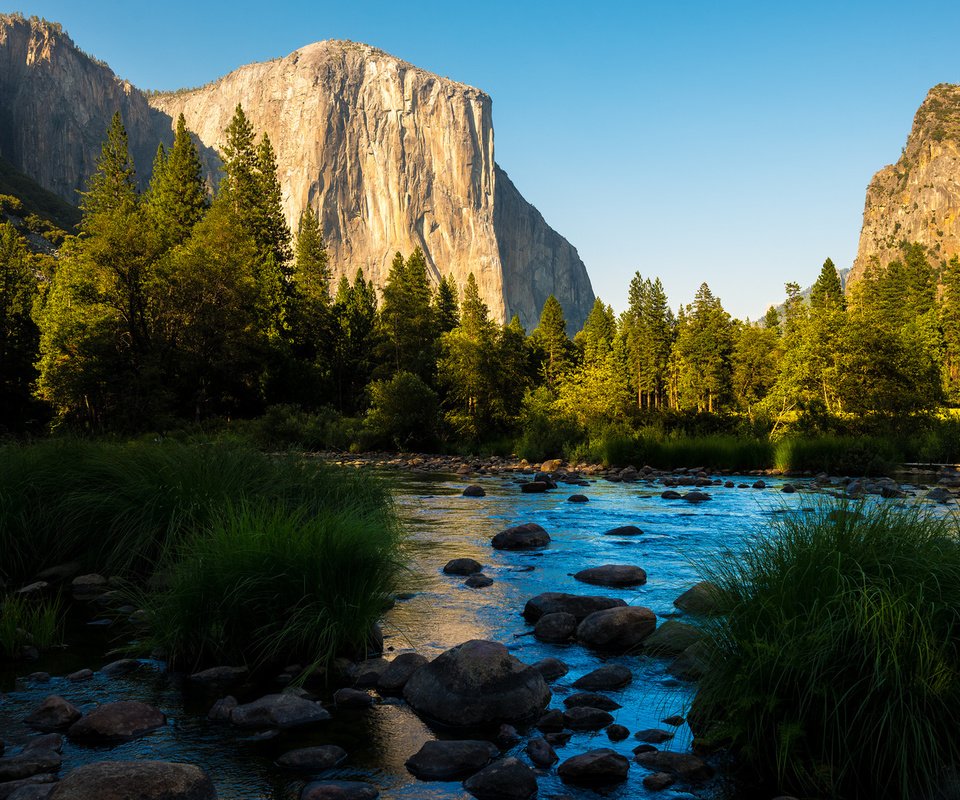 Обои горы, лес, панорамма, йосемитский национальный парк, mountains, forest, panorama, yosemite national park разрешение 1920x1080 Загрузить