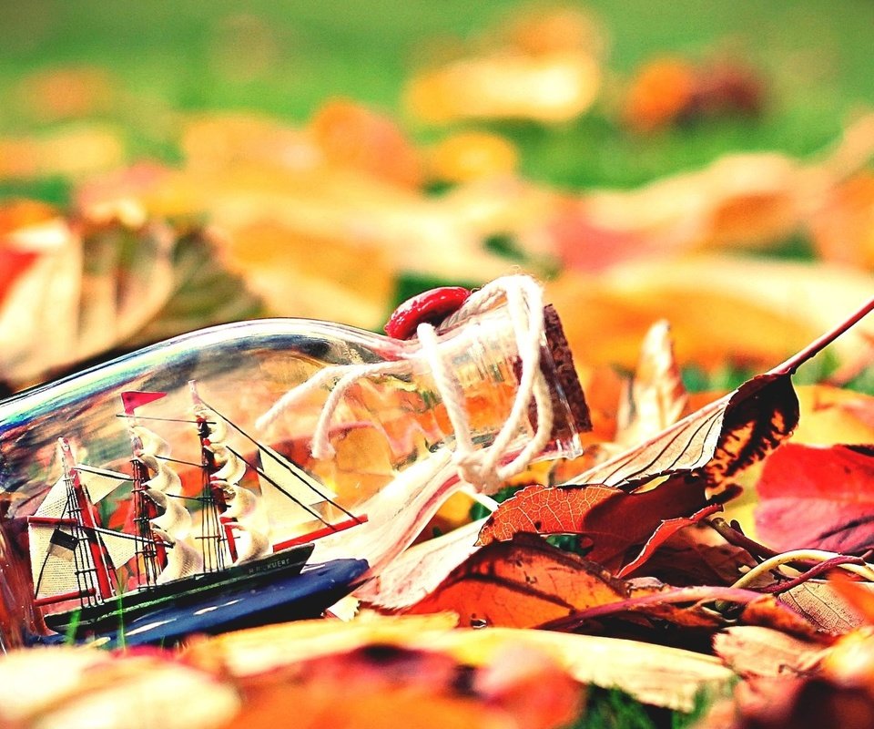 Обои листья, настроение, осень, бутылка, кораблик, leaves, mood, autumn, bottle, boat разрешение 1920x1200 Загрузить