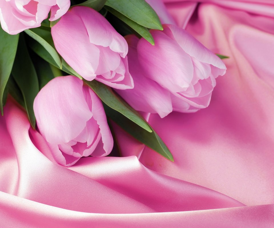 Обои розовый, тюльпаны, 8 марта, шелк, pink, tulips, march 8, silk разрешение 2880x1800 Загрузить