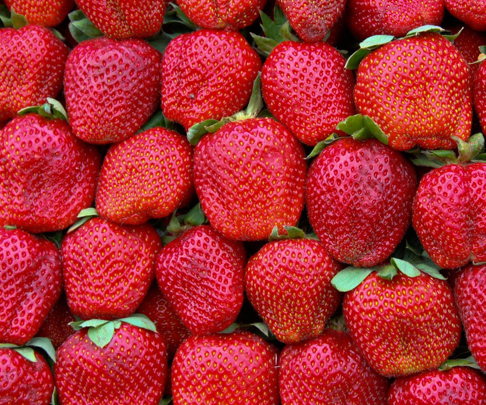 Обои узор, краcный, земляника, грин, pattern, red, strawberries, green разрешение 2880x1800 Загрузить