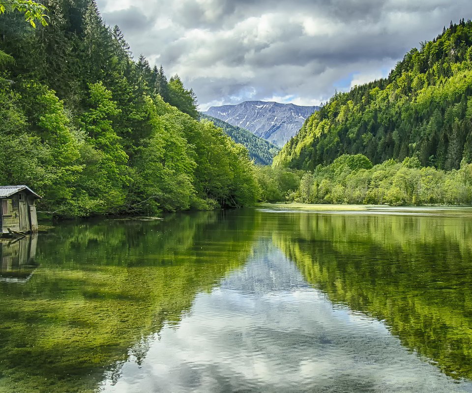 Обои деревья, вода, озеро, горы, природа, пейзаж, австрия, green lake, trees, water, lake, mountains, nature, landscape, austria разрешение 1920x1200 Загрузить