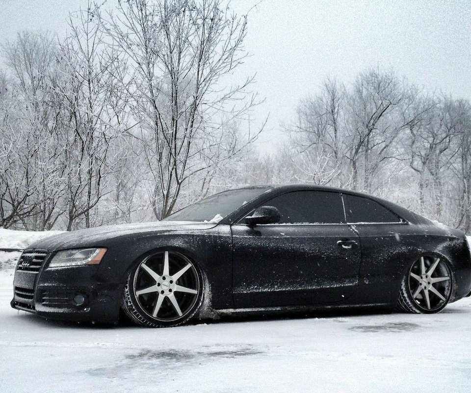 Обои снег, зима, ауди, тюнинг, диски, audi s5, snow, winter, audi, tuning, drives разрешение 1920x1080 Загрузить