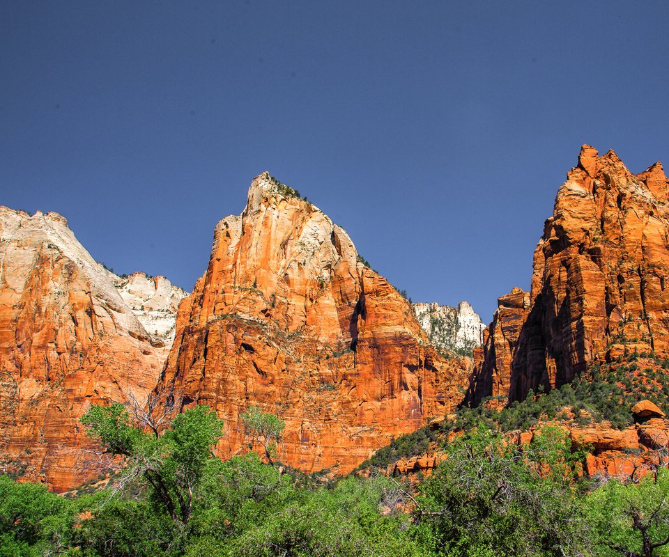 Обои горы, сша, юта, zion national park, национальный парк, штат юта, mountains, usa, utah, national park разрешение 1920x1200 Загрузить