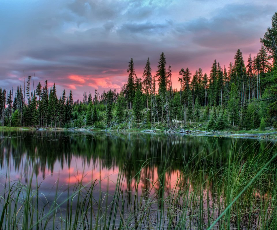 Обои деревья, озеро, закат, пейзаж, канада, провинция альберта, trees, lake, sunset, landscape, canada, alberta разрешение 2560x1600 Загрузить