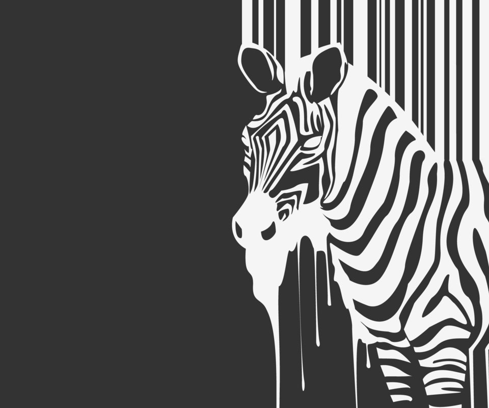 Обои зебра, животное, ч.б., zebra, animal, h. b. разрешение 2560x1600 Загрузить