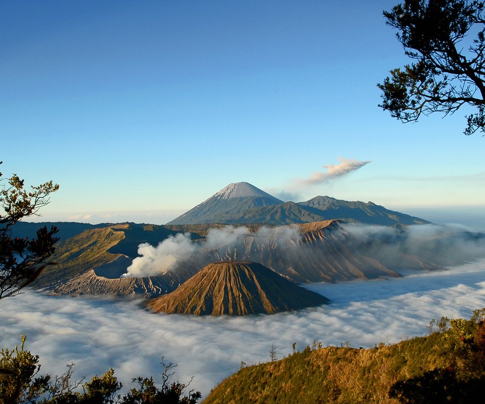 Обои деревья, горы, туман, вид, вулкан, trees, mountains, fog, view, the volcano разрешение 2560x1600 Загрузить