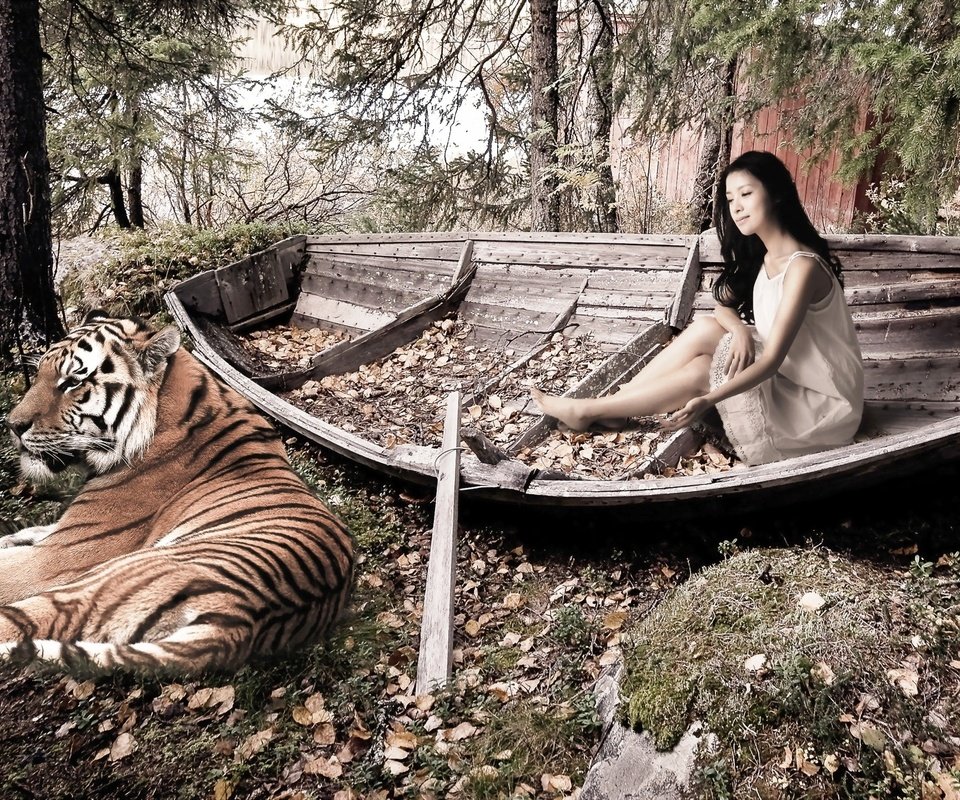 Обои тигр, деревья, девушка, лодка, опавшие листья, tiger, trees, girl, boat, fallen leaves разрешение 2560x1440 Загрузить