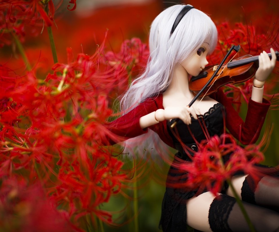 Обои цветы, скрипка, кукла, flowers, violin, doll разрешение 3200x2133 Загрузить