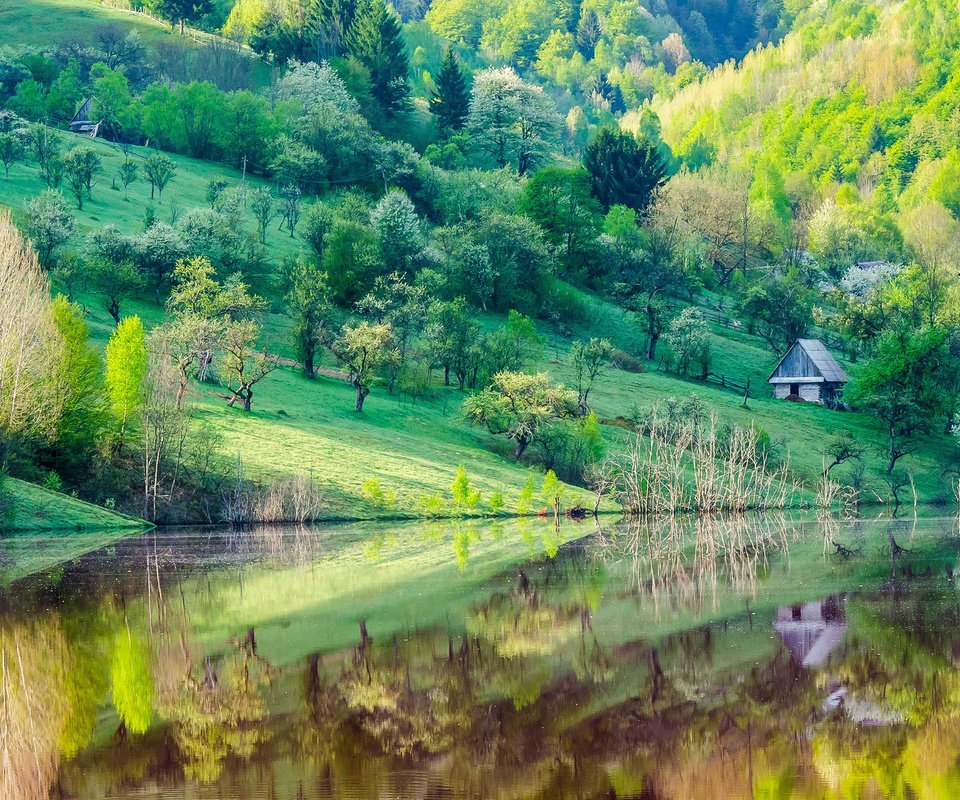 Обои деревья, озеро, отражение, склон, гора, дома, весна, trees, lake, reflection, slope, mountain, home, spring разрешение 1920x1200 Загрузить