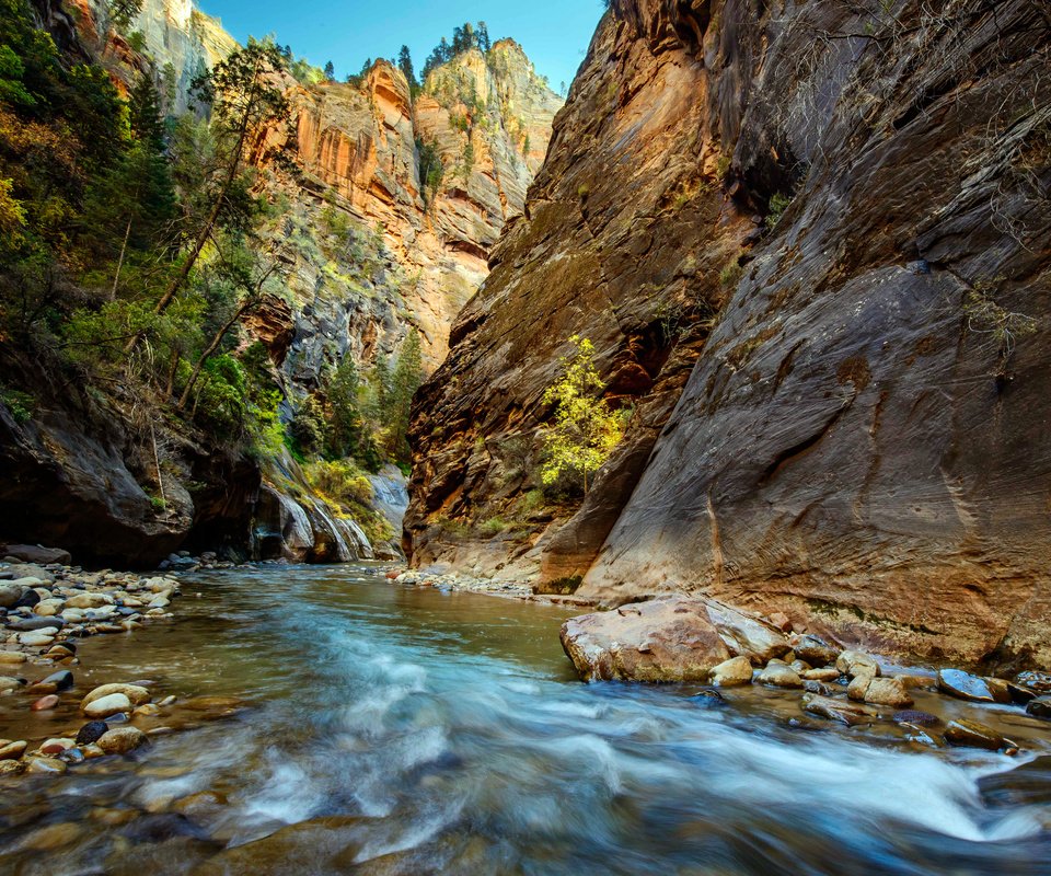 Обои река, скалы, ущелье, zion national park, river, rocks, gorge разрешение 6393x4751 Загрузить