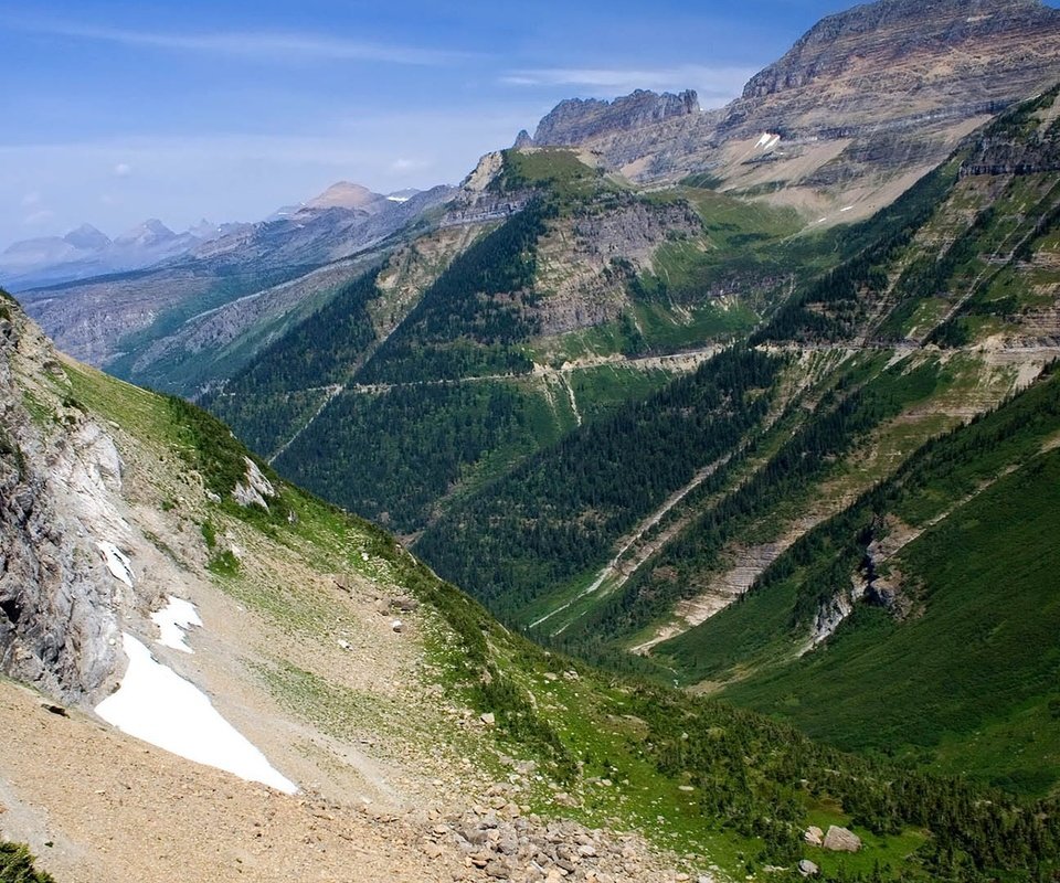 Обои горы, скалы, лес, склон, сша, ущелье, монтана, глейшер, mountains, rocks, forest, slope, usa, gorge, montana, glacier разрешение 1920x1080 Загрузить