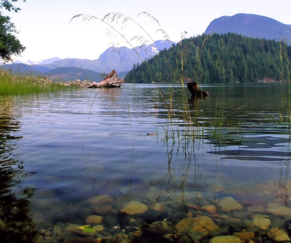 Обои вода, озеро, горы, холмы, озеро.холмы, water, lake, mountains, hills разрешение 1920x1080 Загрузить