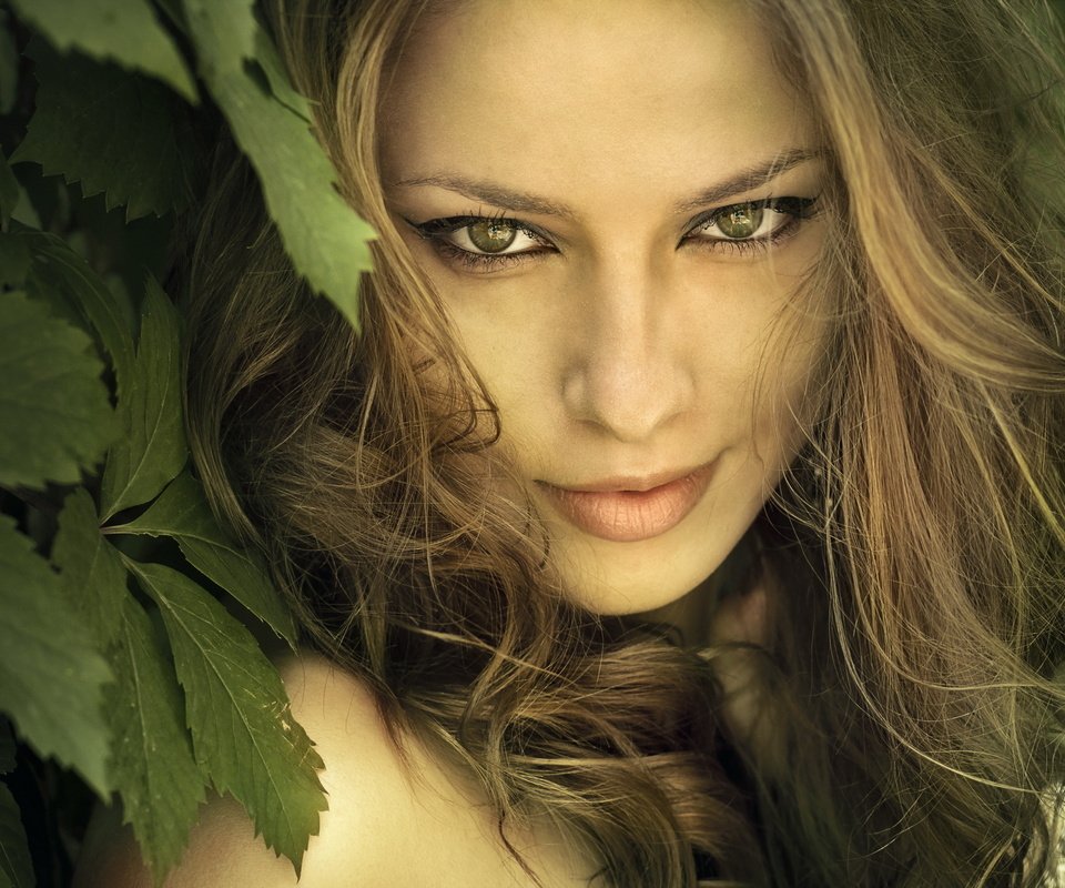 Обои глаза, природа, листья, девушка, взгляд, волосы, лицо, eyes, nature, leaves, girl, look, hair, face разрешение 2560x1600 Загрузить