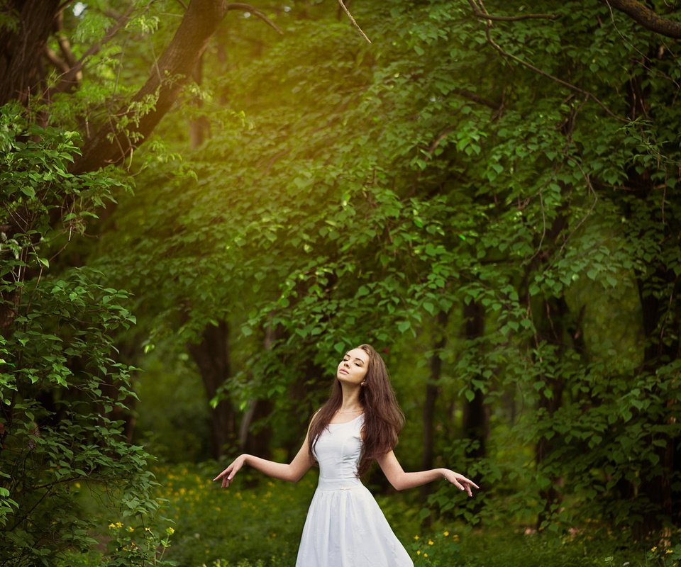 Обои деревья, лес, девушка, настроение, шатенка, trees, forest, girl, mood, brown hair разрешение 2048x1362 Загрузить