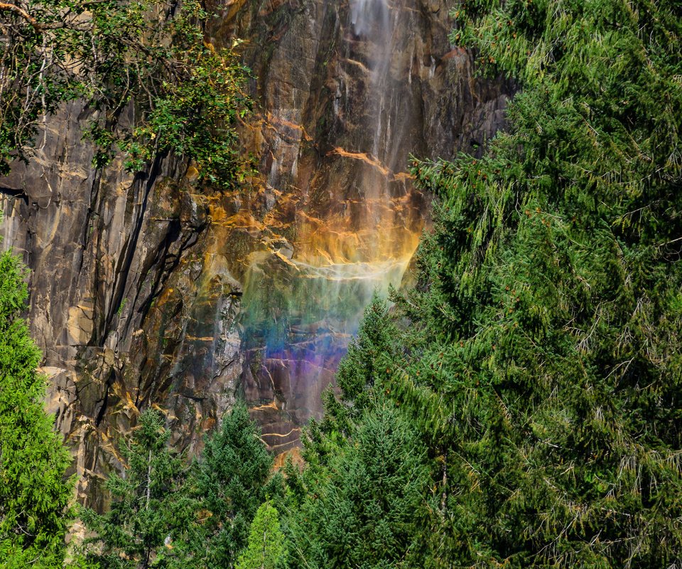 Обои лес, скала, водопад, радуга, йосемитский национальный парк, forest, rock, waterfall, rainbow, yosemite national park разрешение 2048x1152 Загрузить