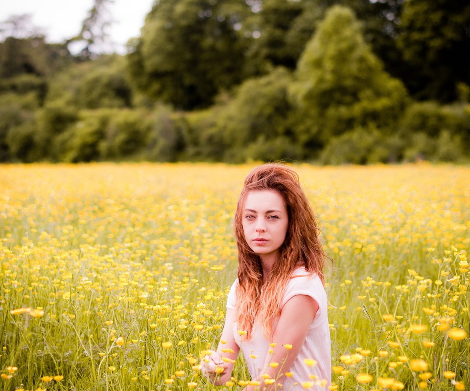 Обои цветы, девушка, поле, лето, flowers, girl, field, summer разрешение 2560x1600 Загрузить