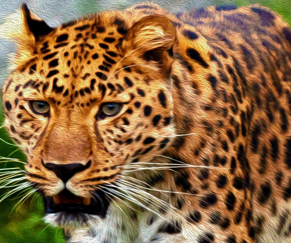 Обои арт, леопард, 3д, art, leopard, 3d разрешение 1920x1080 Загрузить