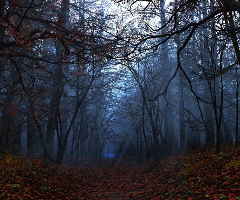 Обои свет, деревья, лес, листья, лучи, осень, light, trees, forest, leaves, rays, autumn разрешение 1920x1200 Загрузить