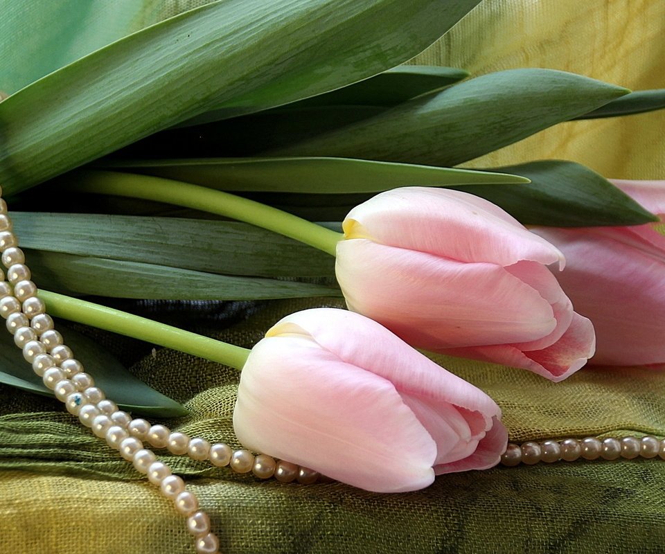 Обои букет, тюльпаны, бусы, bouquet, tulips, beads разрешение 1920x1200 Загрузить